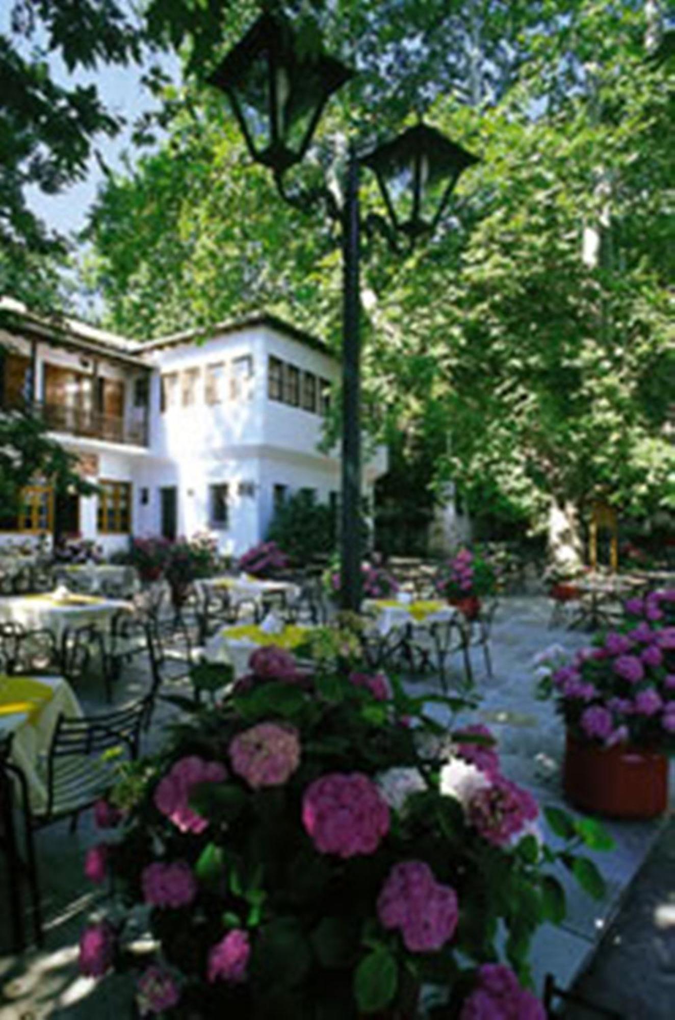 Hotel Pelion Resort Портарія Екстер'єр фото
