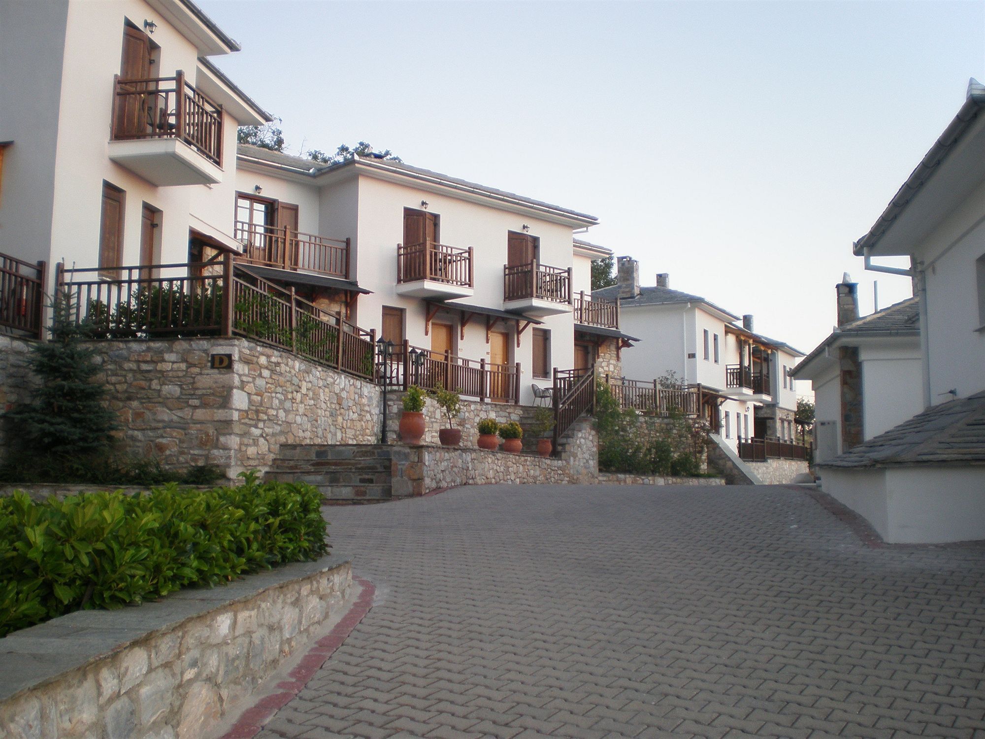 Hotel Pelion Resort Портарія Екстер'єр фото